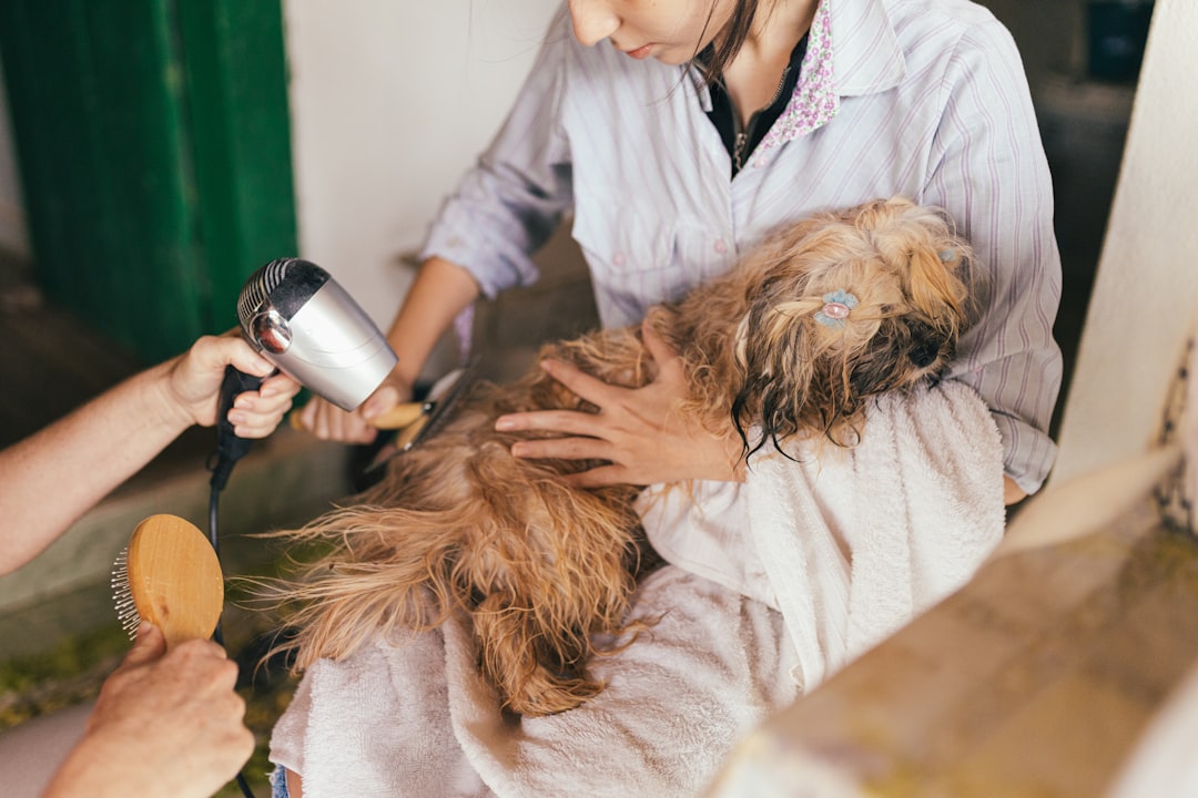 Grooming Tips for Long-Haired Dogs